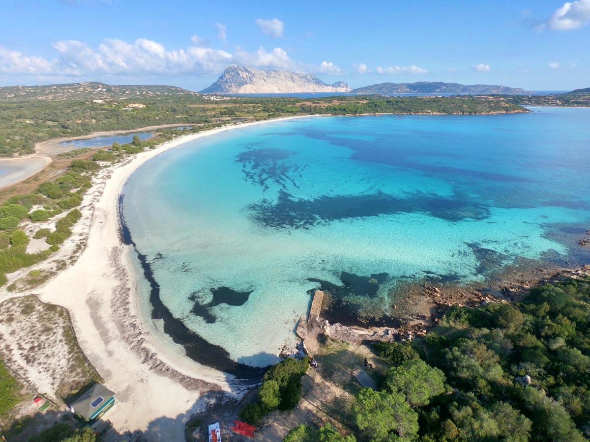 Iss Travel, San Teodoro 1 - 100 M From Cala D'Ambra Beach Exterior foto